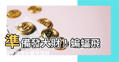 蝙蝠進入家裡|蝙蝠飛到家裡是什麼預兆如何驅逐對風水好